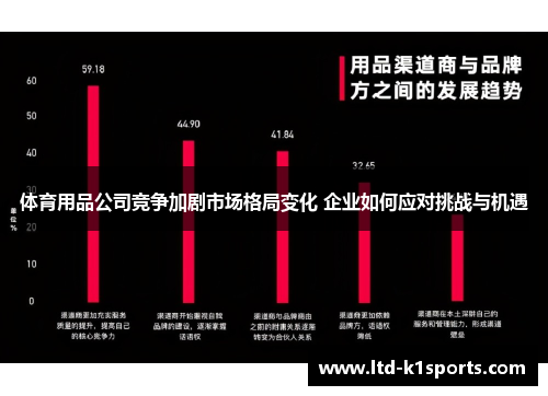 体育用品公司竞争加剧市场格局变化 企业如何应对挑战与机遇