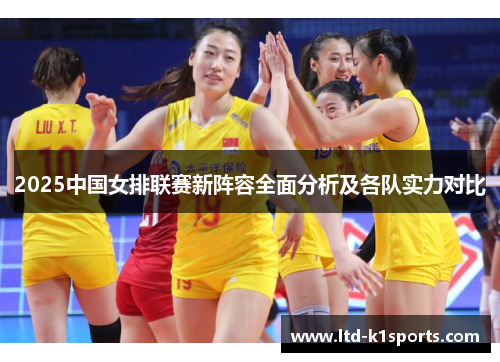 2025中国女排联赛新阵容全面分析及各队实力对比