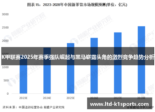 K甲联赛2025年赛季强队崛起与黑马崭露头角的激烈竞争趋势分析