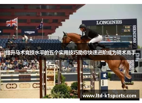 提升马术竞技水平的五个实用技巧助你快速进阶成为骑术高手