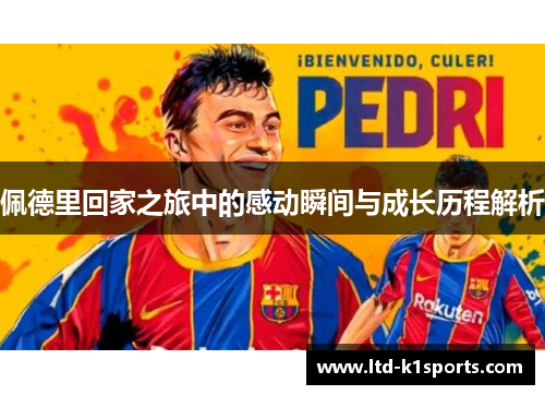 佩德里回家之旅中的感动瞬间与成长历程解析