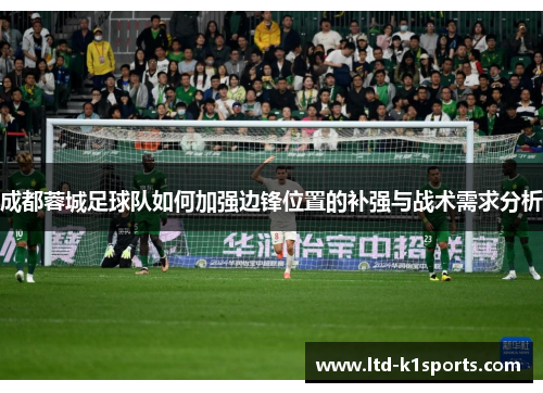 成都蓉城足球队如何加强边锋位置的补强与战术需求分析