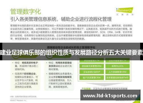建业足球俱乐部的组织性质与发展路径分析五大关键要素